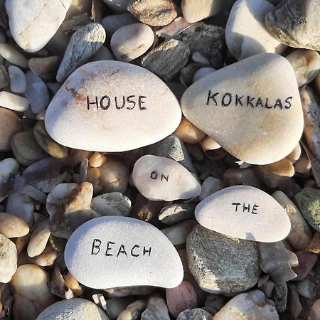 House Kokkalas On The Beach Pyrgadikia Exteriér fotografie
