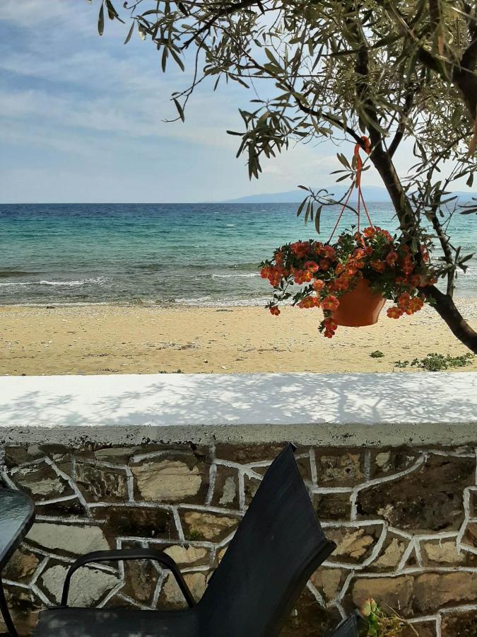 House Kokkalas On The Beach Pyrgadikia Exteriér fotografie